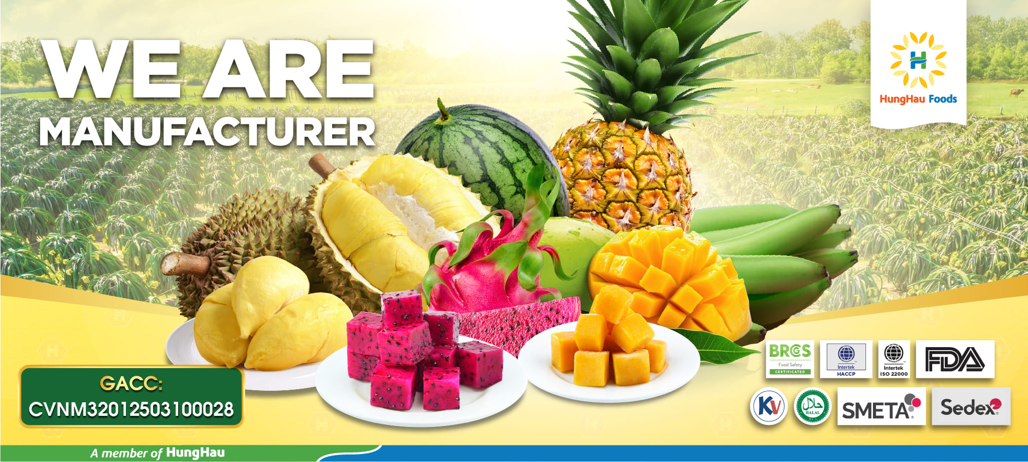 Banner website