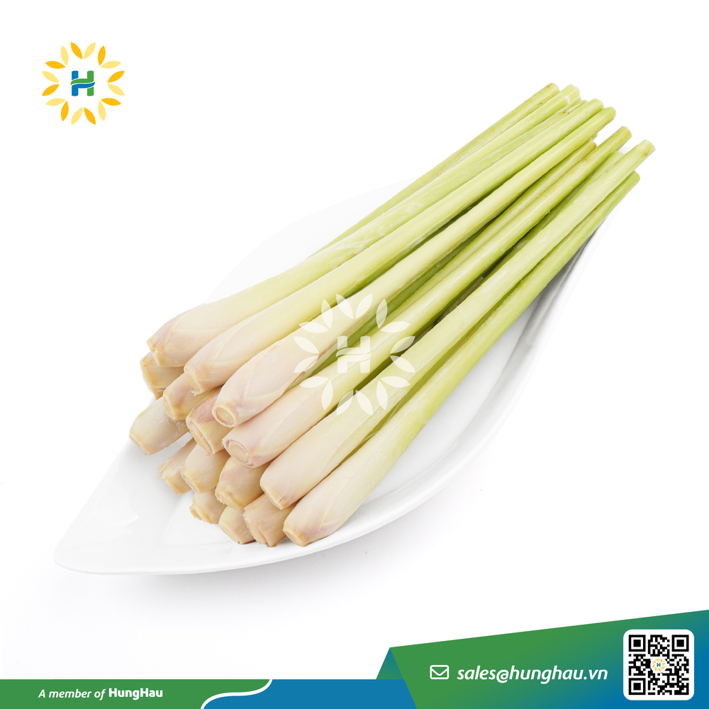 IQF Lemongrass whole HungHau Foods
