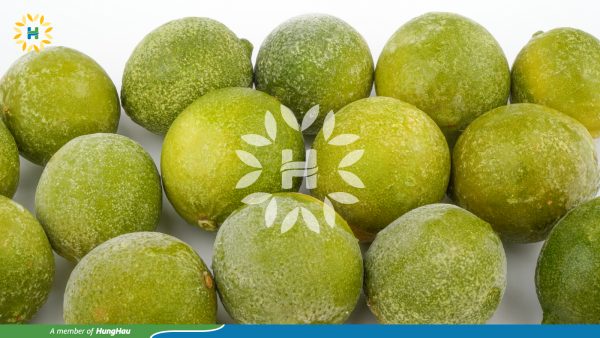 IQF Lime whole