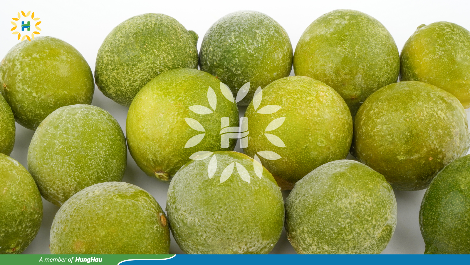 IQF Lime whole