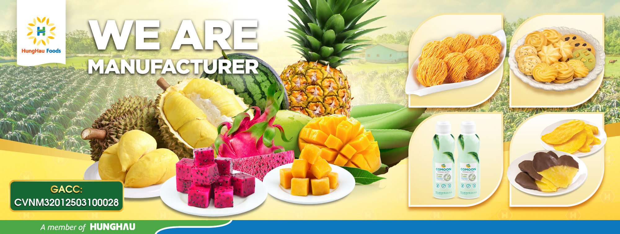 HungHau Foods Joint stock Company (HungHau Foods)