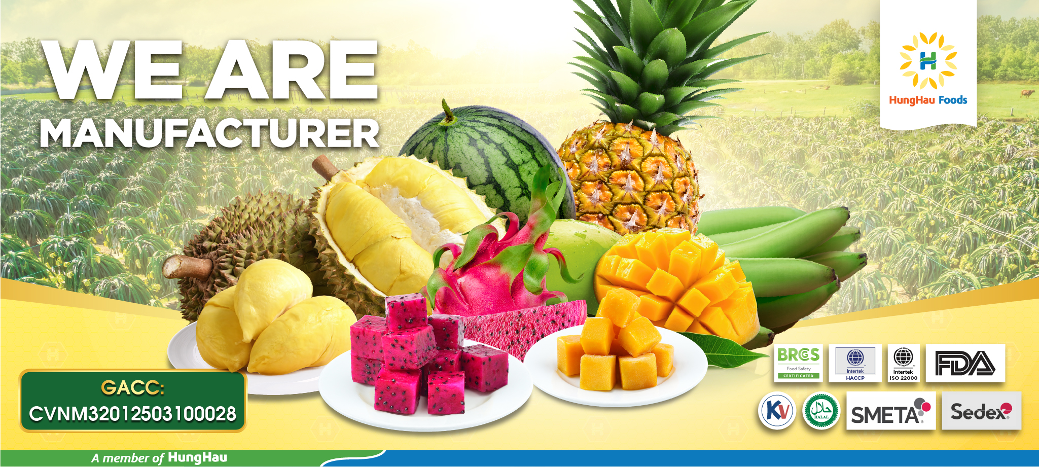 HungHau Foods Joint stock Company (HungHau Foods)