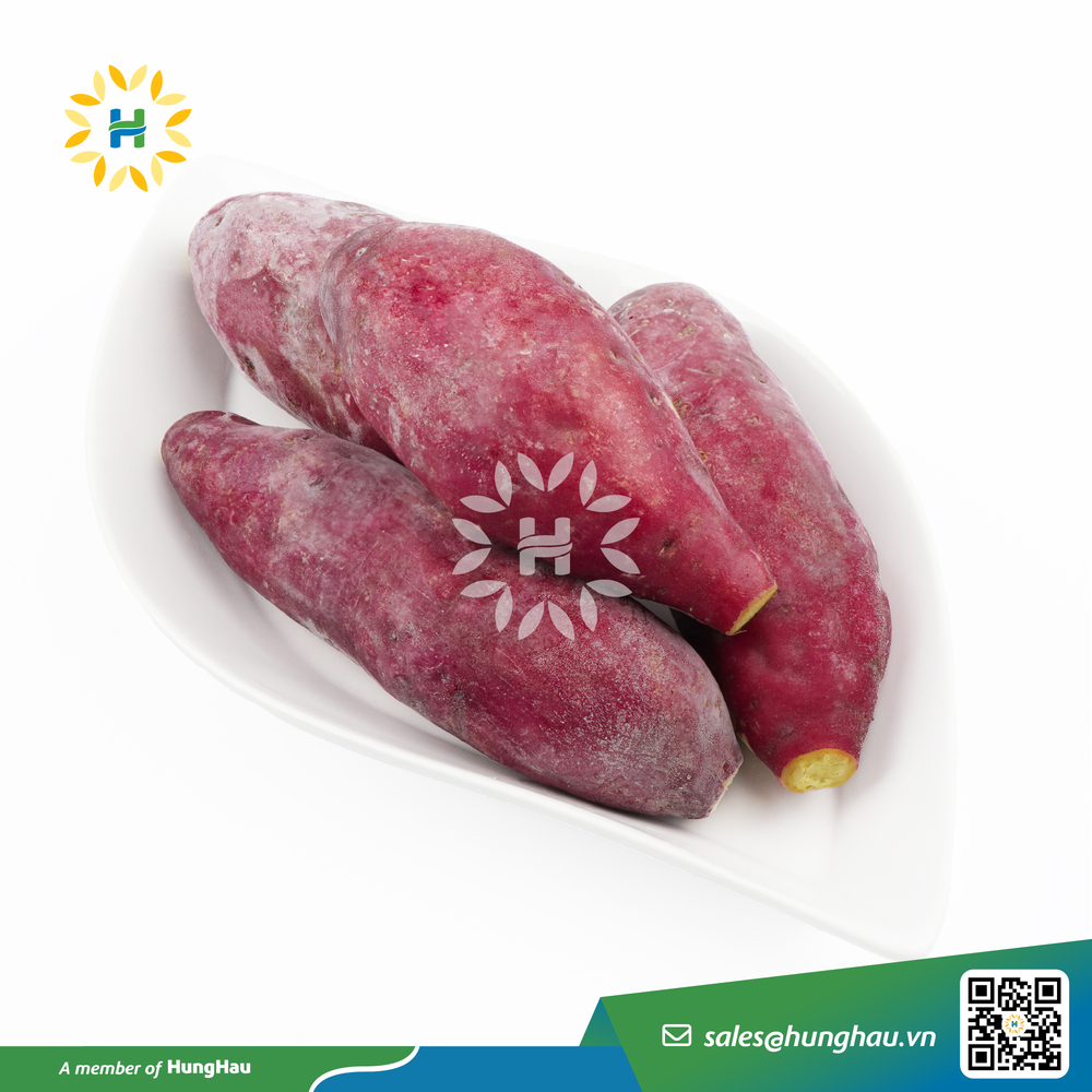 IQF Yellow Sweet Potato - Image 5