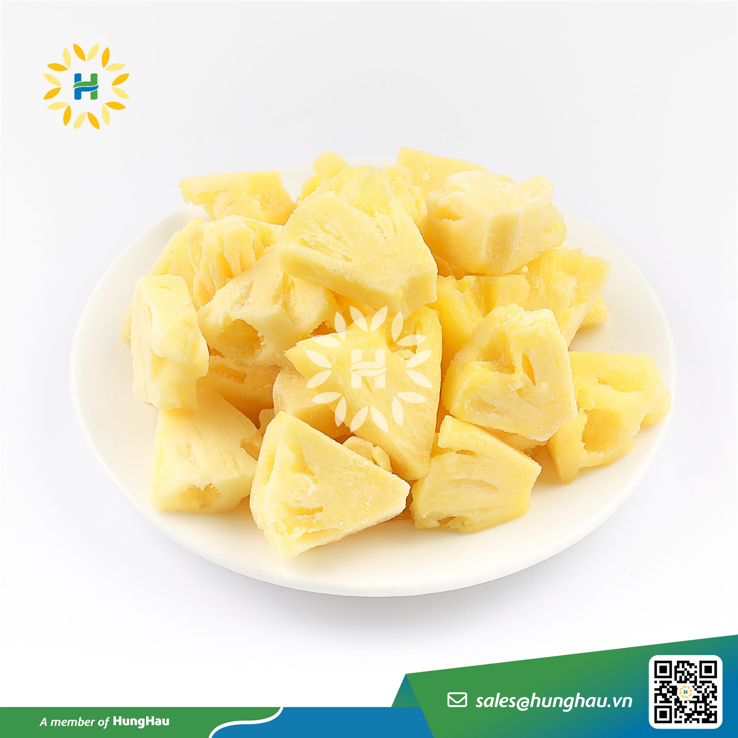 HÙNG HẬU FOODS, HUNG HAU FOODS, KHOM, DUA, KHÓM, DỨA, ĐÔNG LẠNH