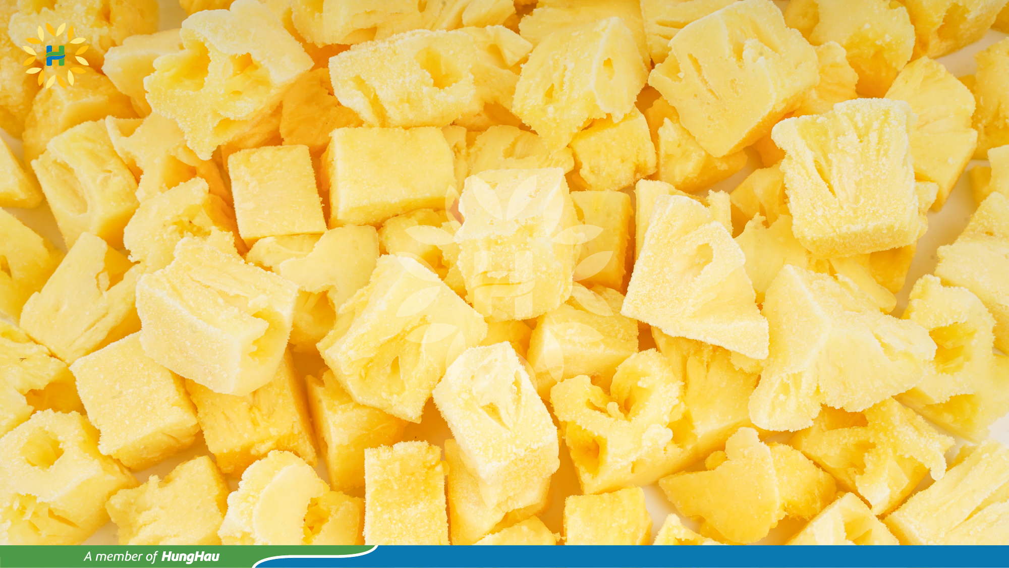 IQF Diced Pineapple