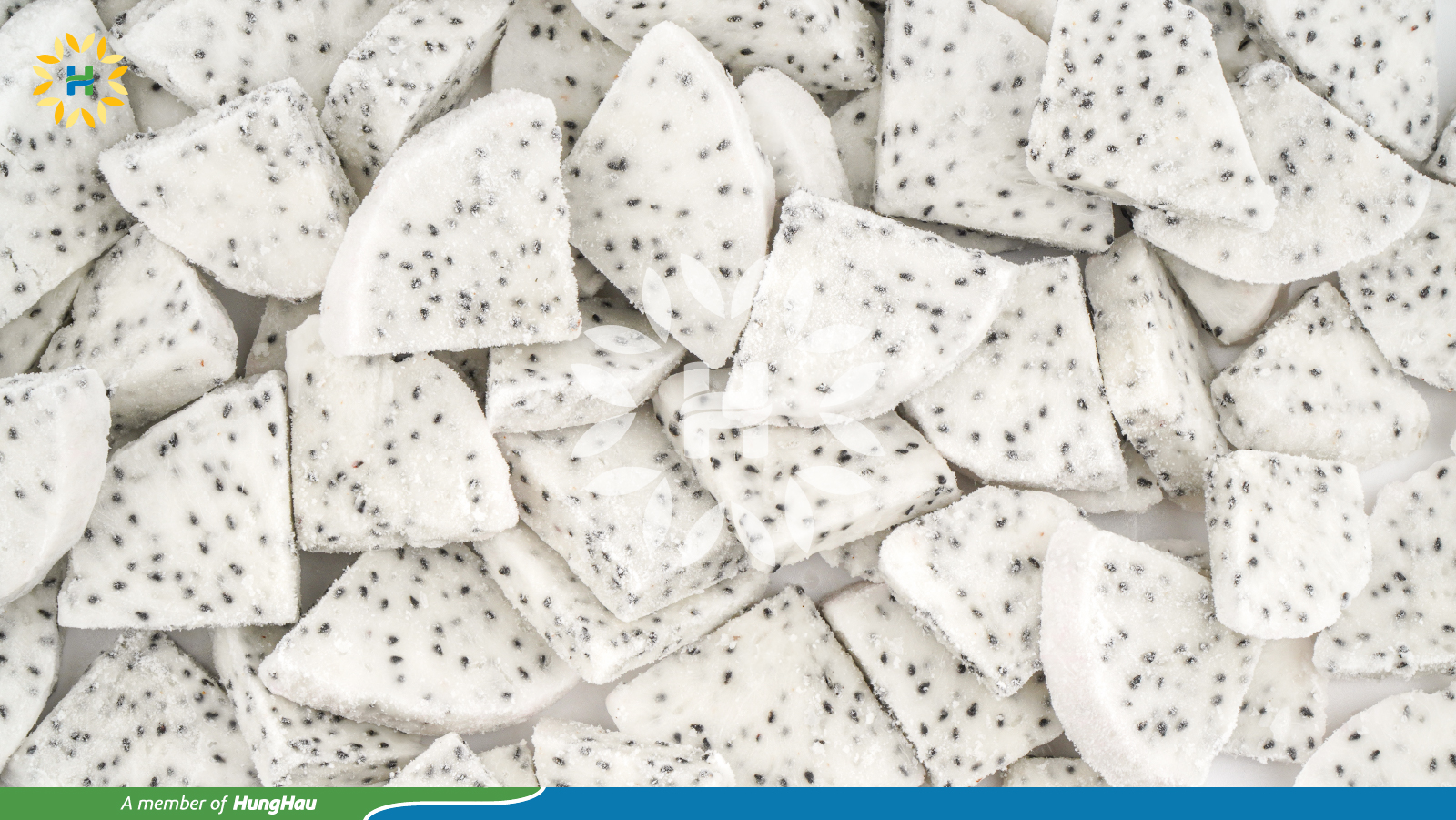 IQF Dragon White Fruit cut 1/4