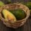 WHAT IS IQF AVOCADO? EXPLORING THE POTENTIAL OF VIETNAMESE IQF AVOCADO