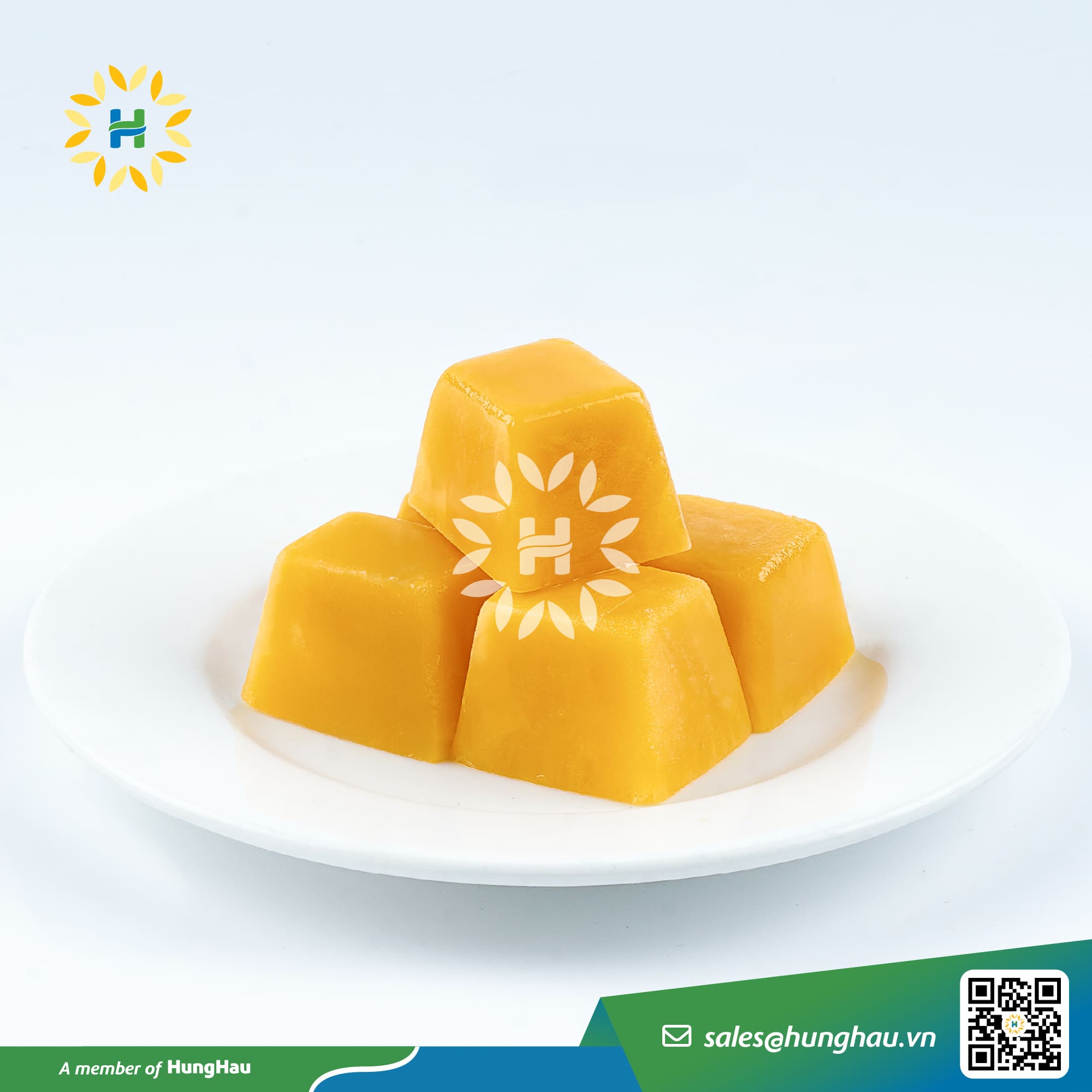 IQF Mango Juice Cubes