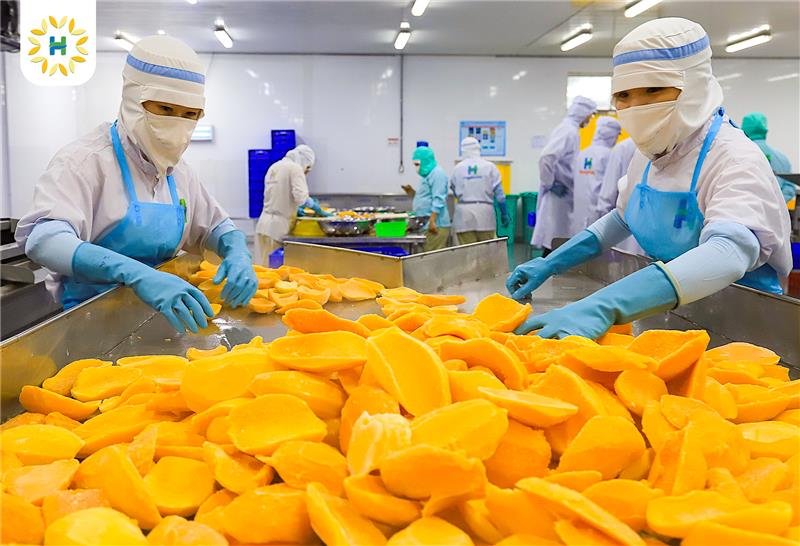Công nhân thực hiện sơ chế xoài 