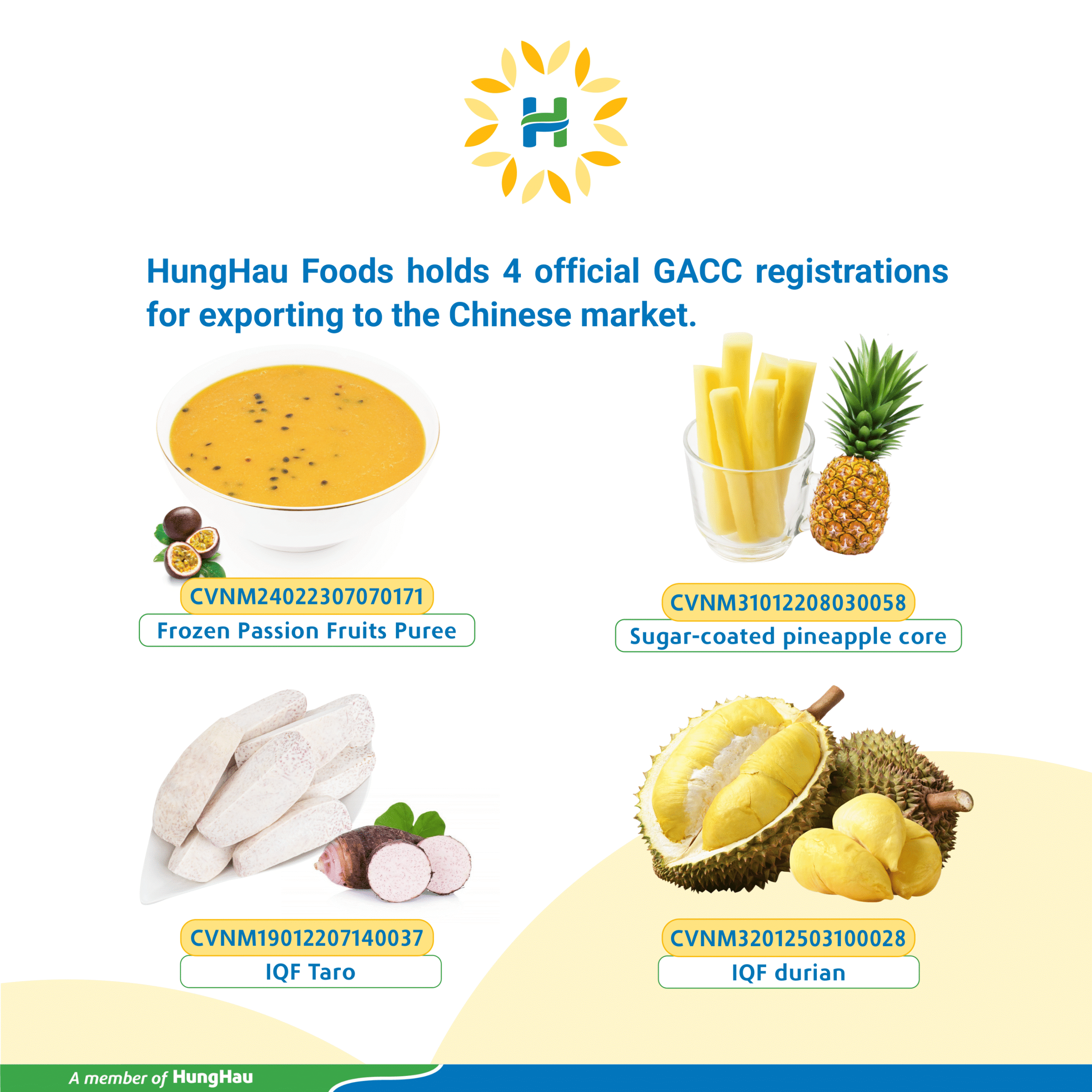 HungHau Foods Joint stock Company (HungHau Foods)