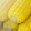 WHY HUNGHAU FOODS’ FROZEN CORN WINS OVER THE RUSSIAN AND TAIWANESE MARKETS