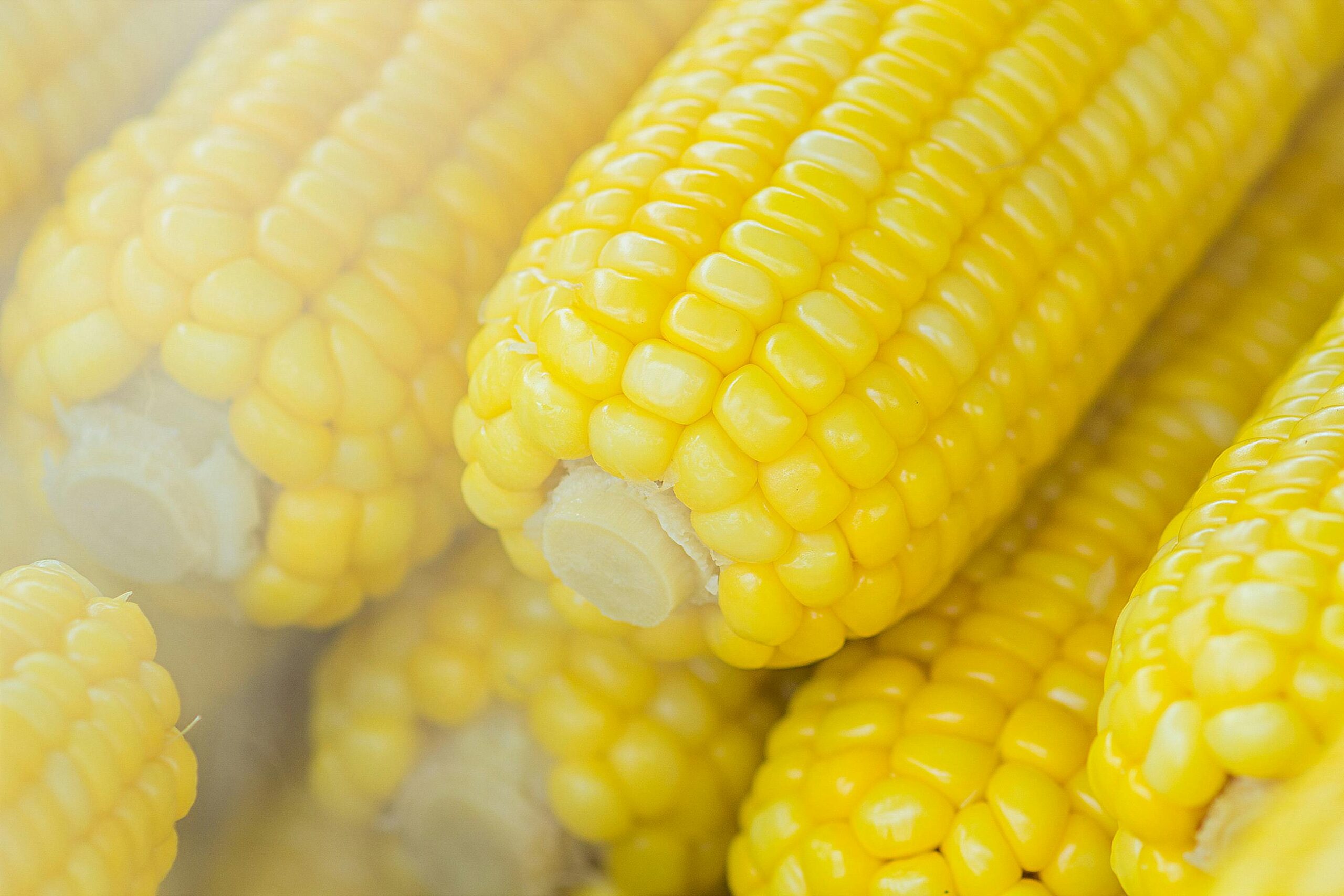 WHY CAN HUNGHAU FOODS FROZEN CORN CONQUER THE RUSSIAN AND TAIWAN MARKETS?