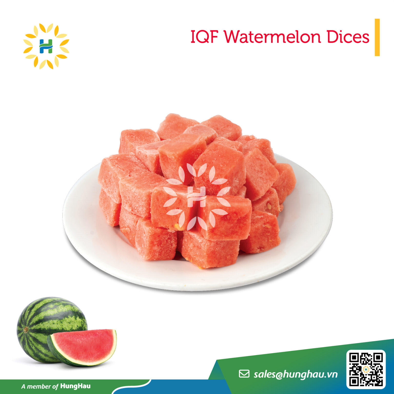 Dưa hấu IQF Việt Nam vào bản đồ thực phẩm quốc tế.