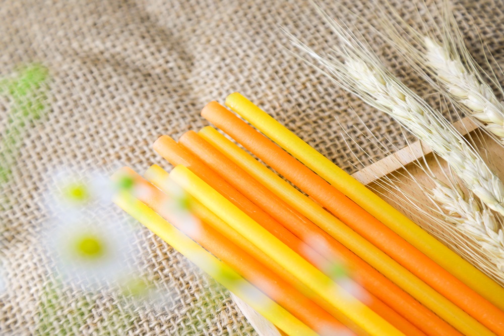 Công ty Cổ phần Thực phẩm Hùng Hậu (HungHau Foods)