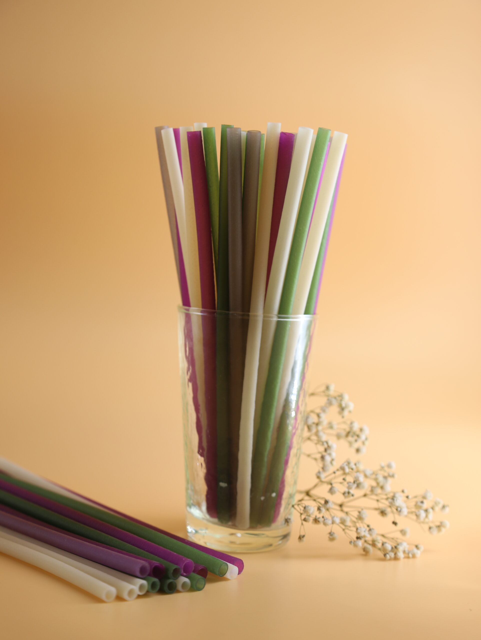 HungHau Foods Joint stock Company (HungHau Foods)