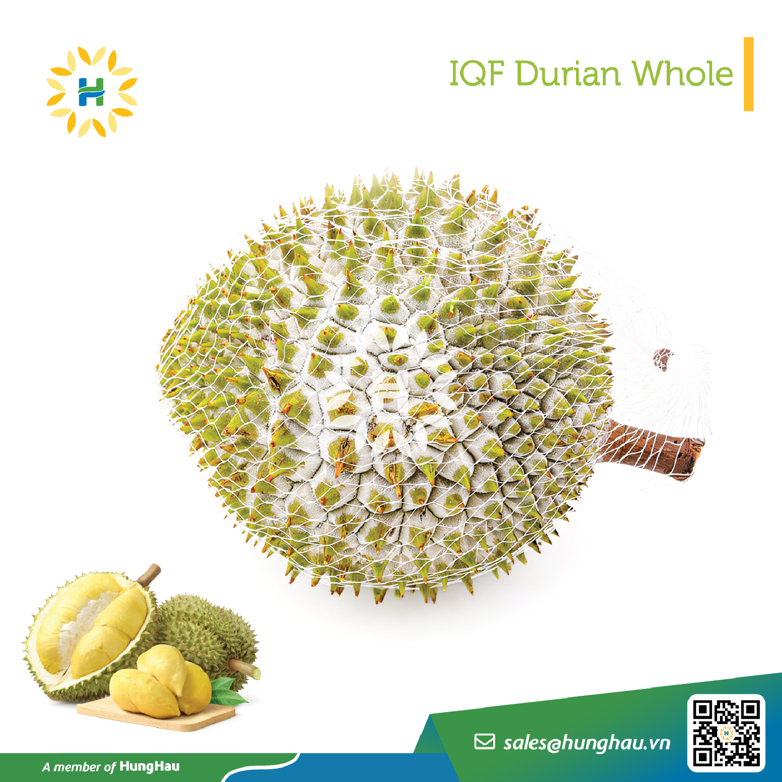 HungHau Foods Joint stock Company (HungHau Foods)