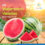 FROM FARMS TO THE WORLD: CAN VIETNAM’S FROZEN WATERMELON CREATE A BREAKTHROUGH?