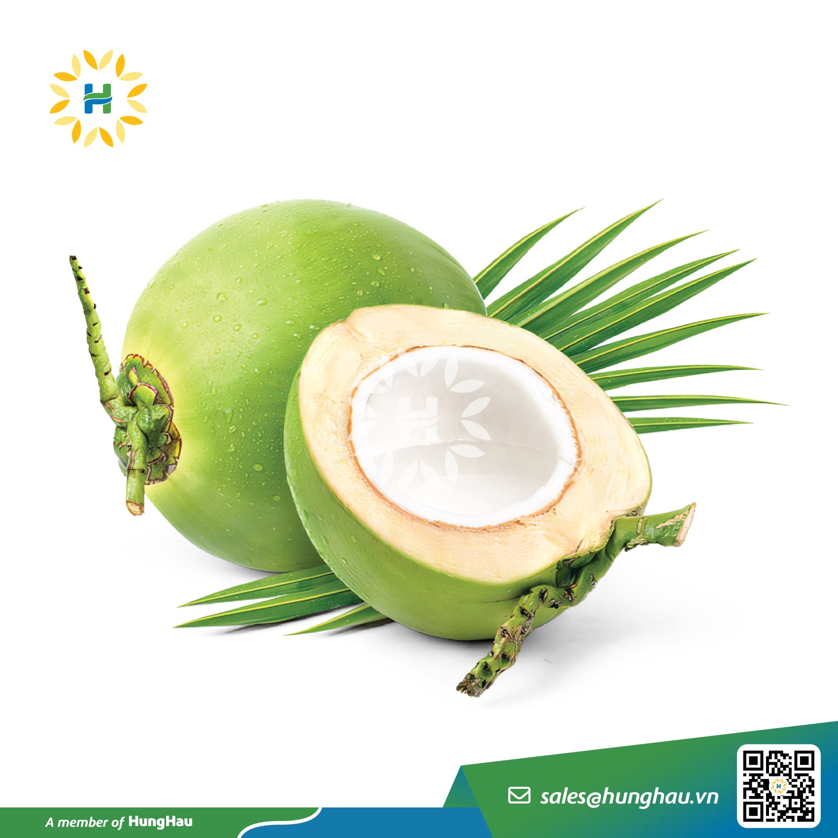 Fresh Coconut