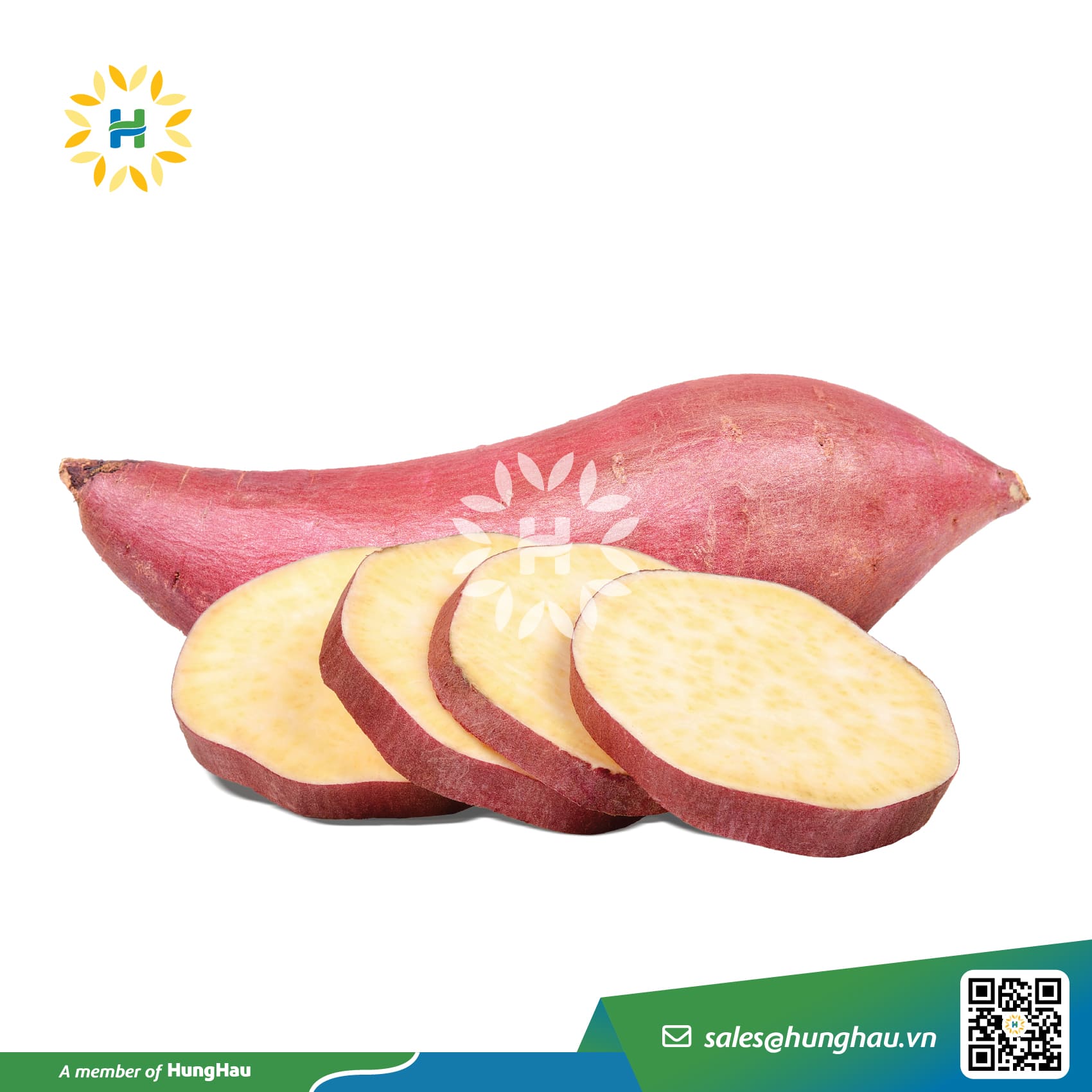 Fresh Yellow Sweet Potatoes