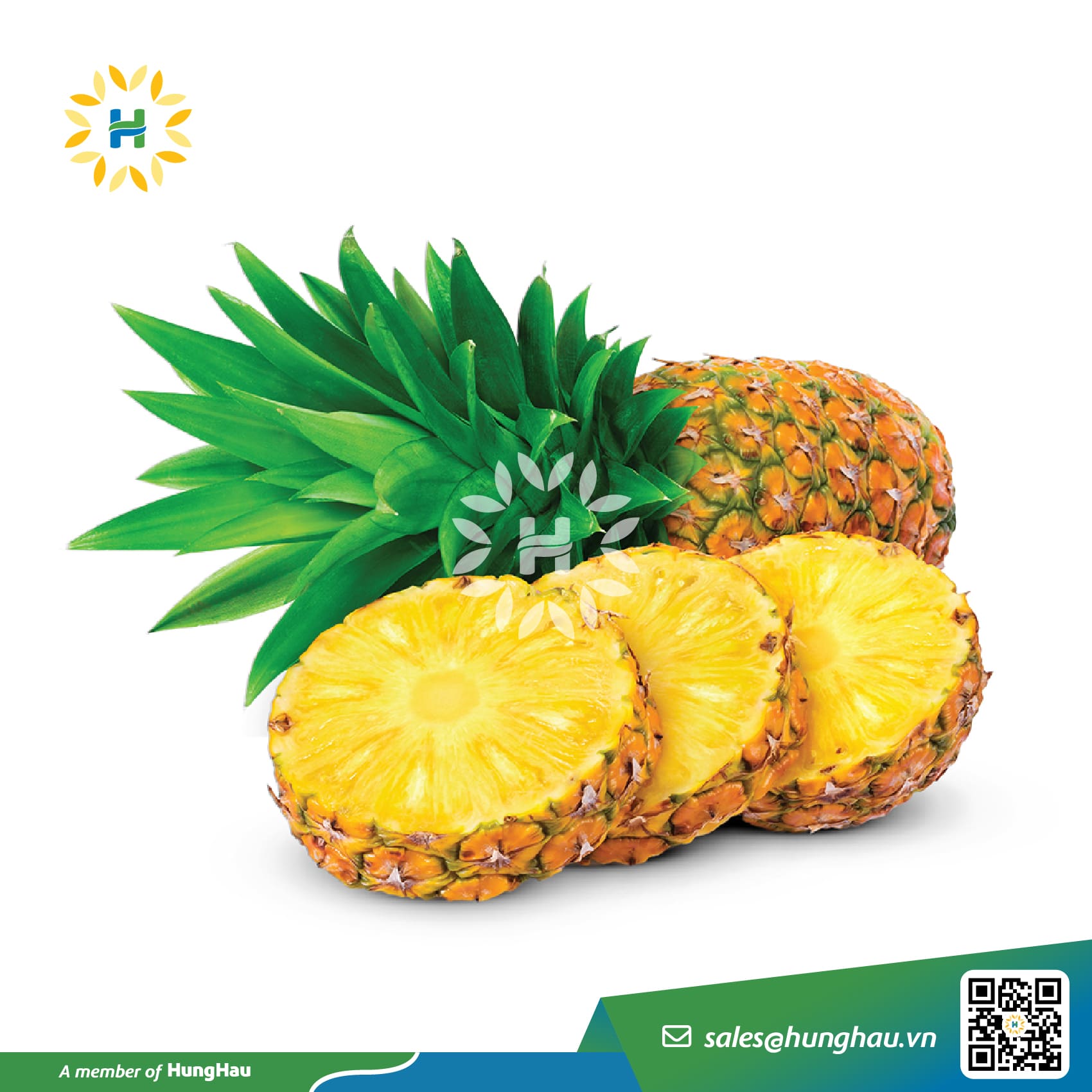Fresh Pineapple