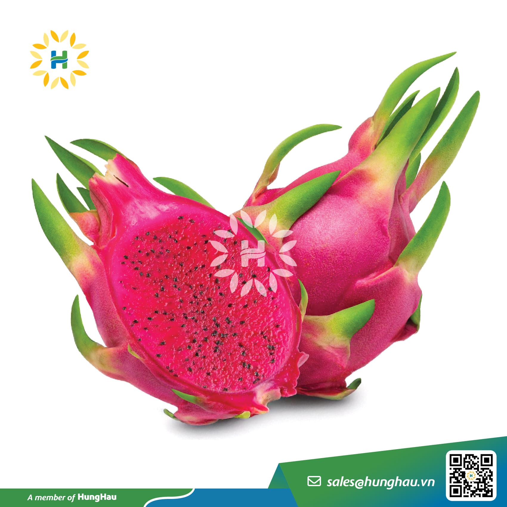 Fresh Red-Fleshed Dragon Fruit
