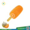 Melon Ice cream