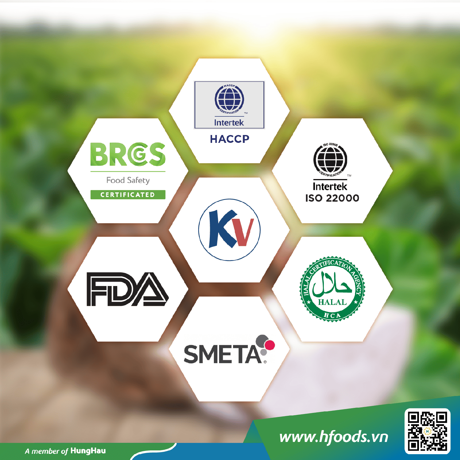Các chứng nhận Khoai môn HungHau Foods đạt được
