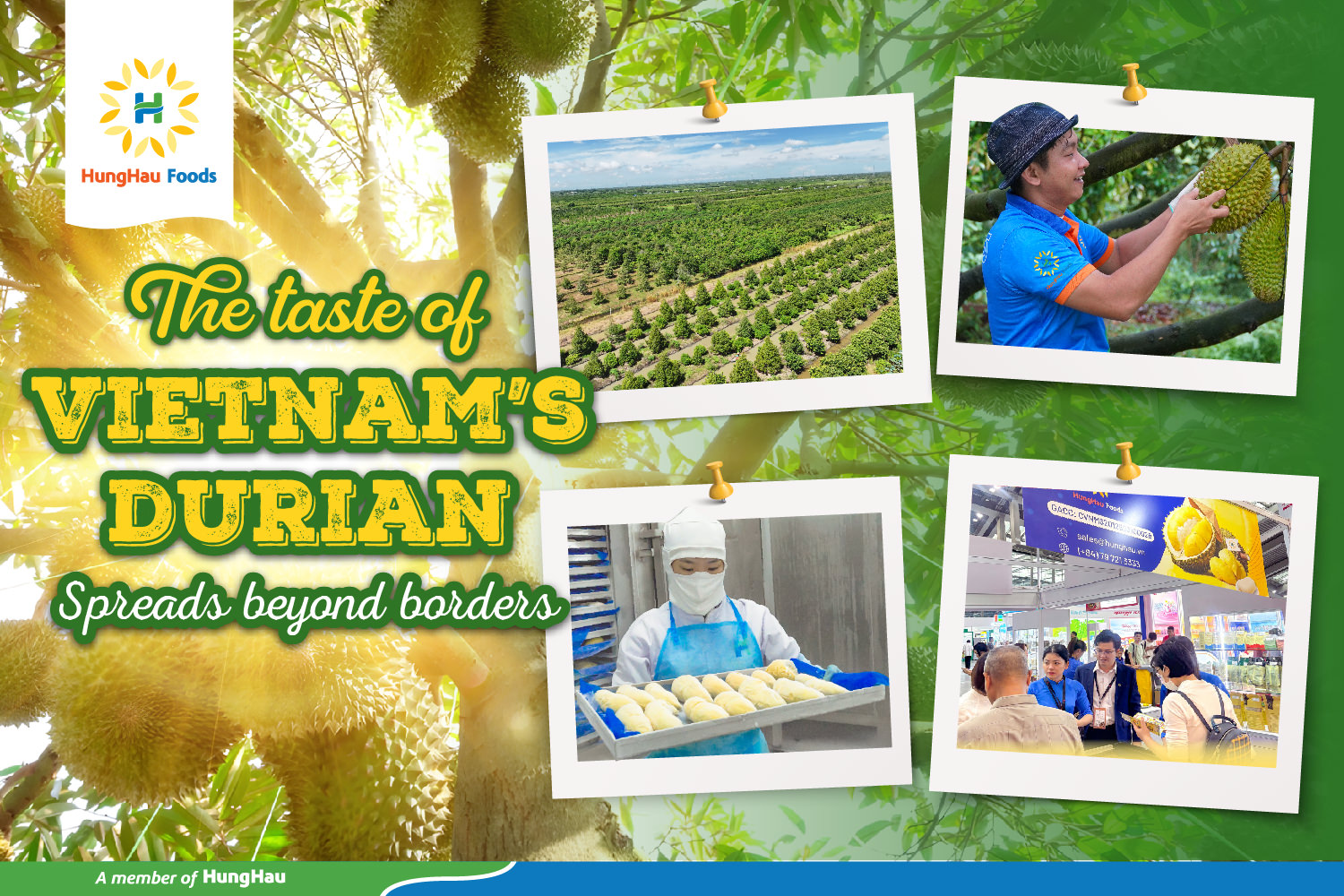 Công ty Cổ phần Thực phẩm Hùng Hậu (HungHau Foods)