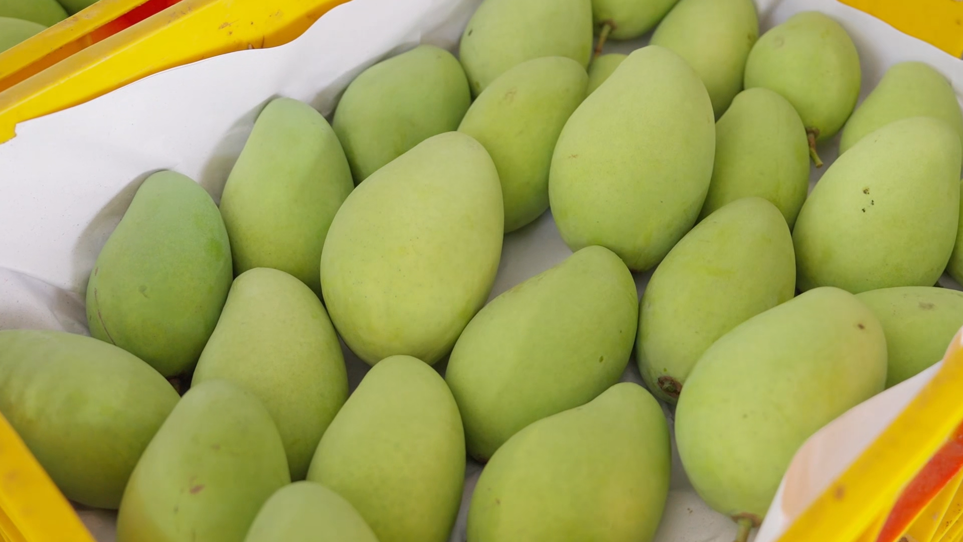 HungHau Foods Joint stock Company (HungHau Foods)