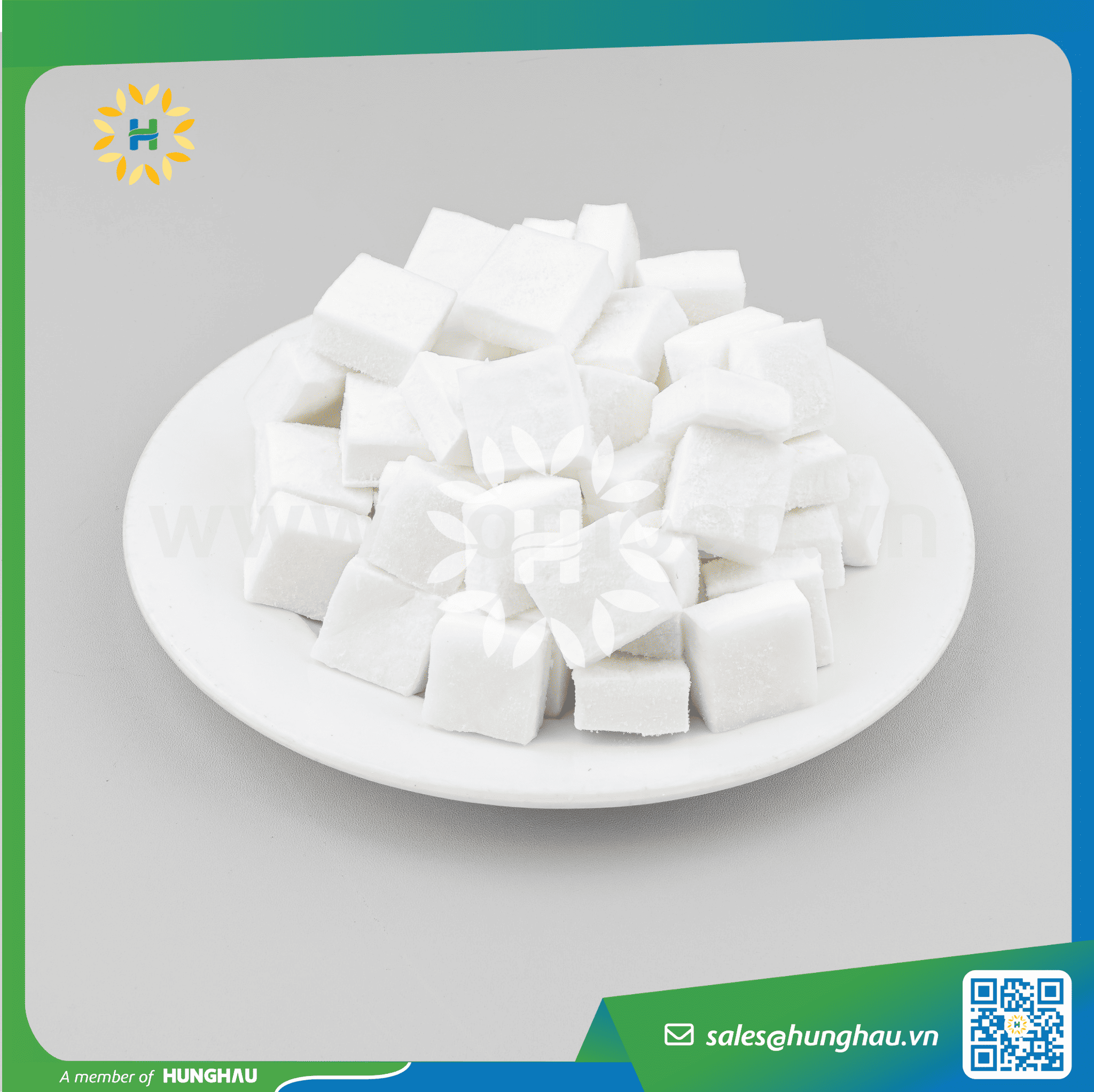 Cơm dừa đông lạnh cắt dice 20cm