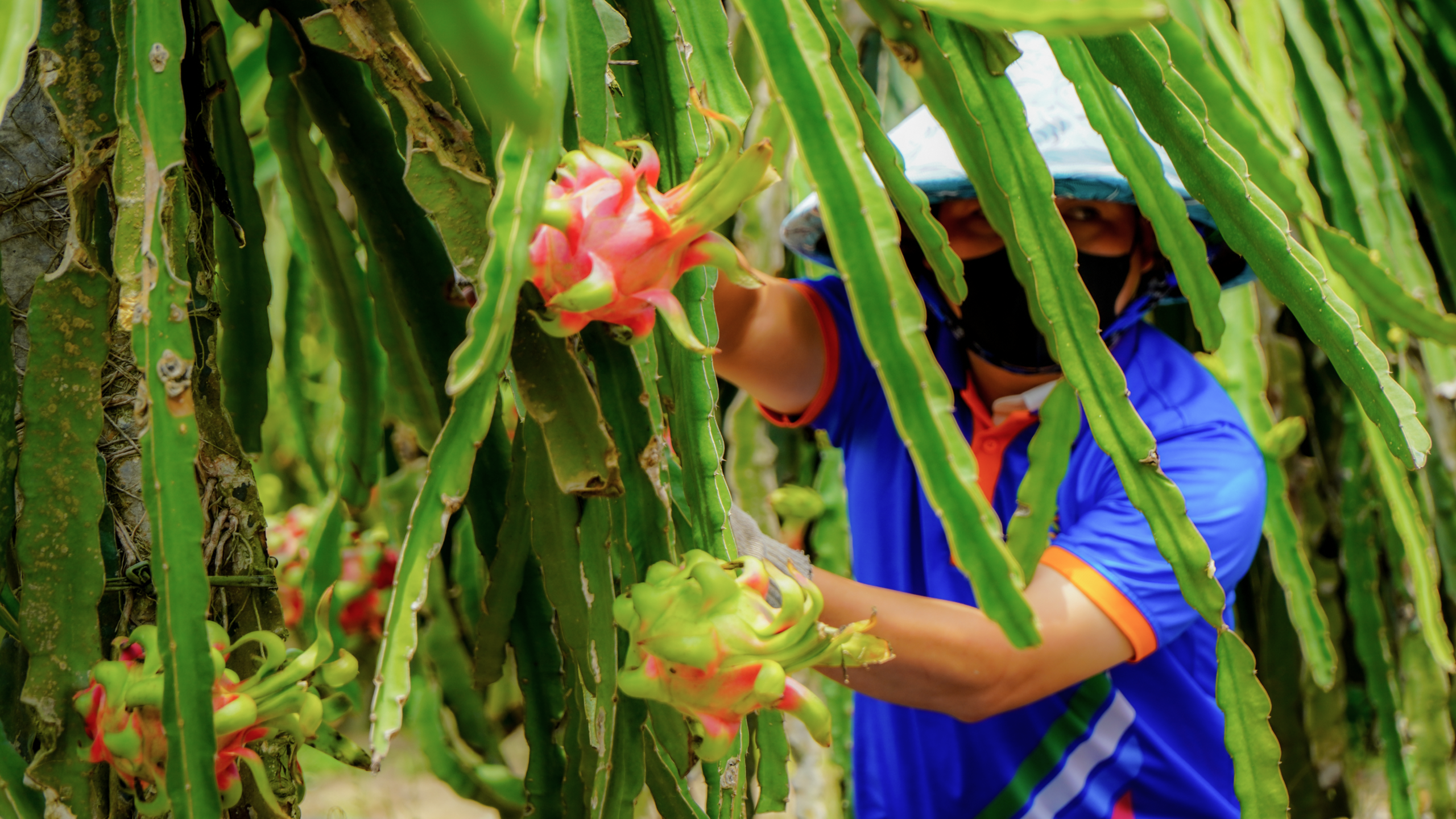 Công ty Cổ phần Thực phẩm Hùng Hậu (HungHau Foods)