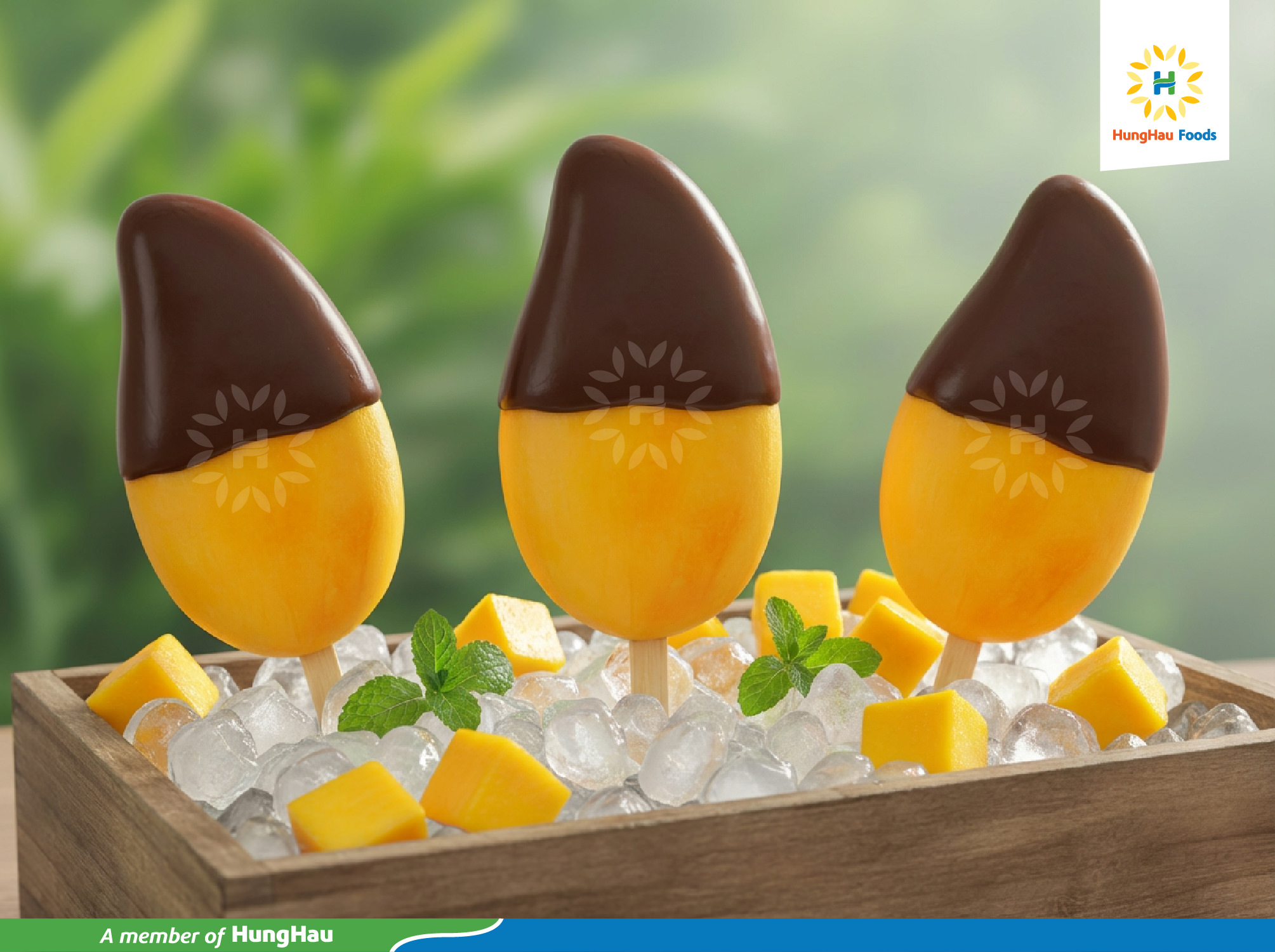 Frozen chocolate covered Mango HunHau Foods