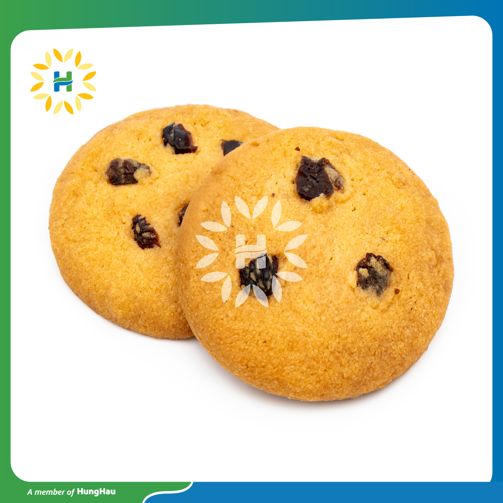 Cookies dừa nho OCHAO