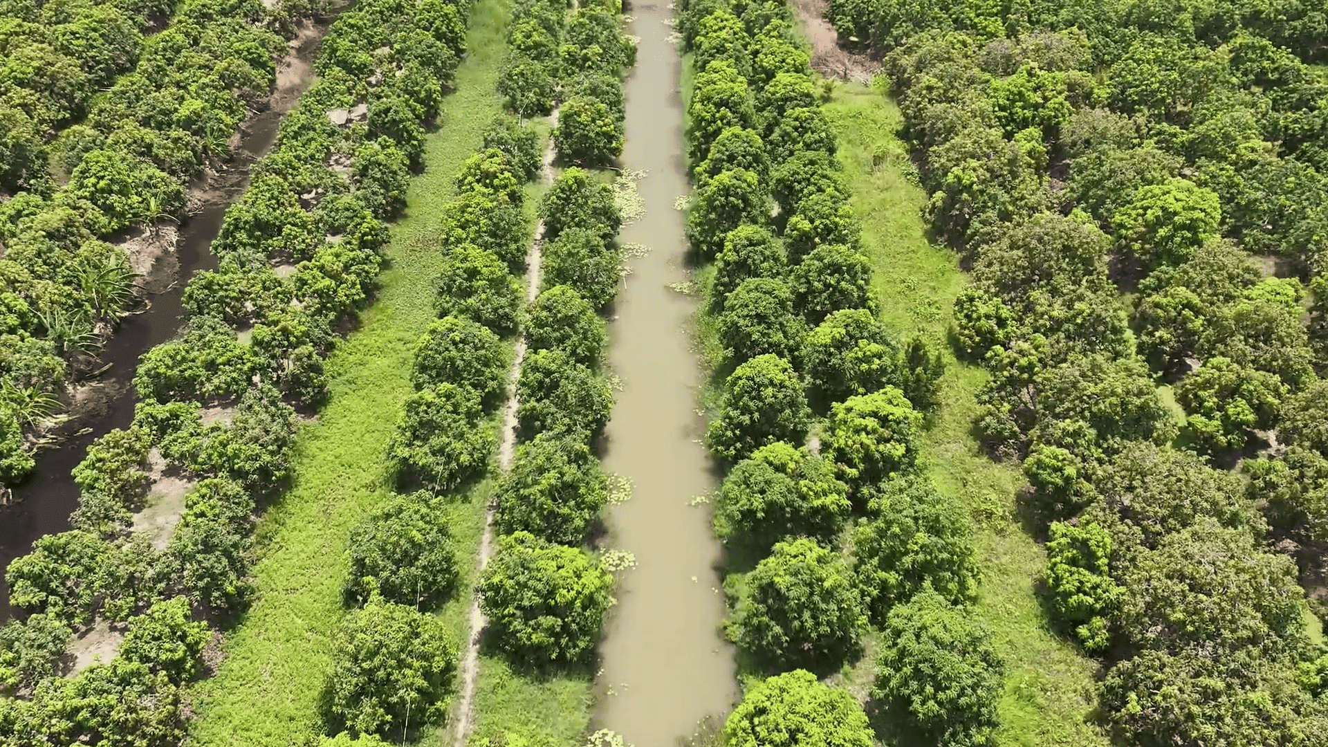 HungHau Foods Joint stock Company (HungHau Foods)