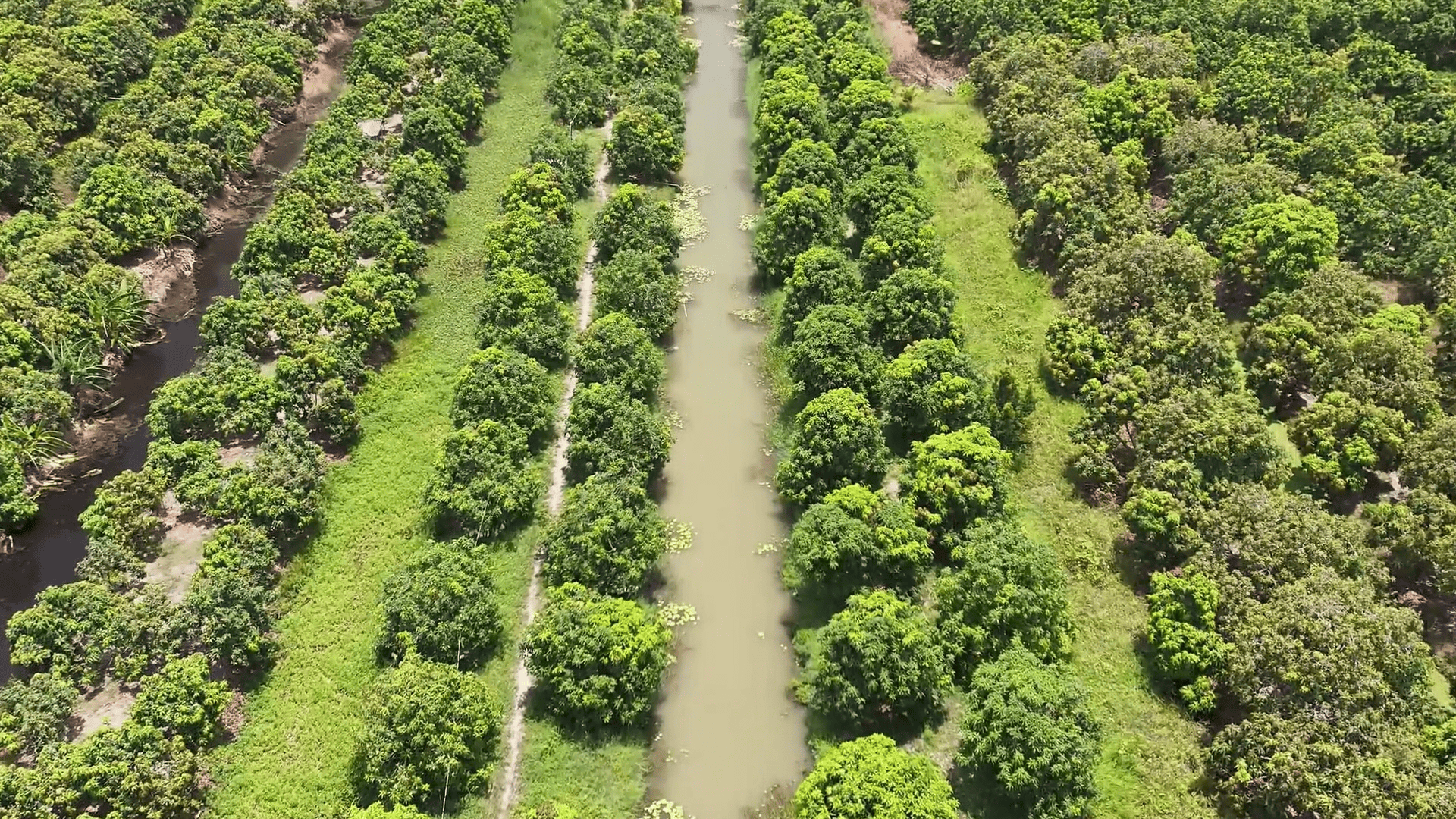 HungHau Foods Joint stock Company (HungHau Foods)