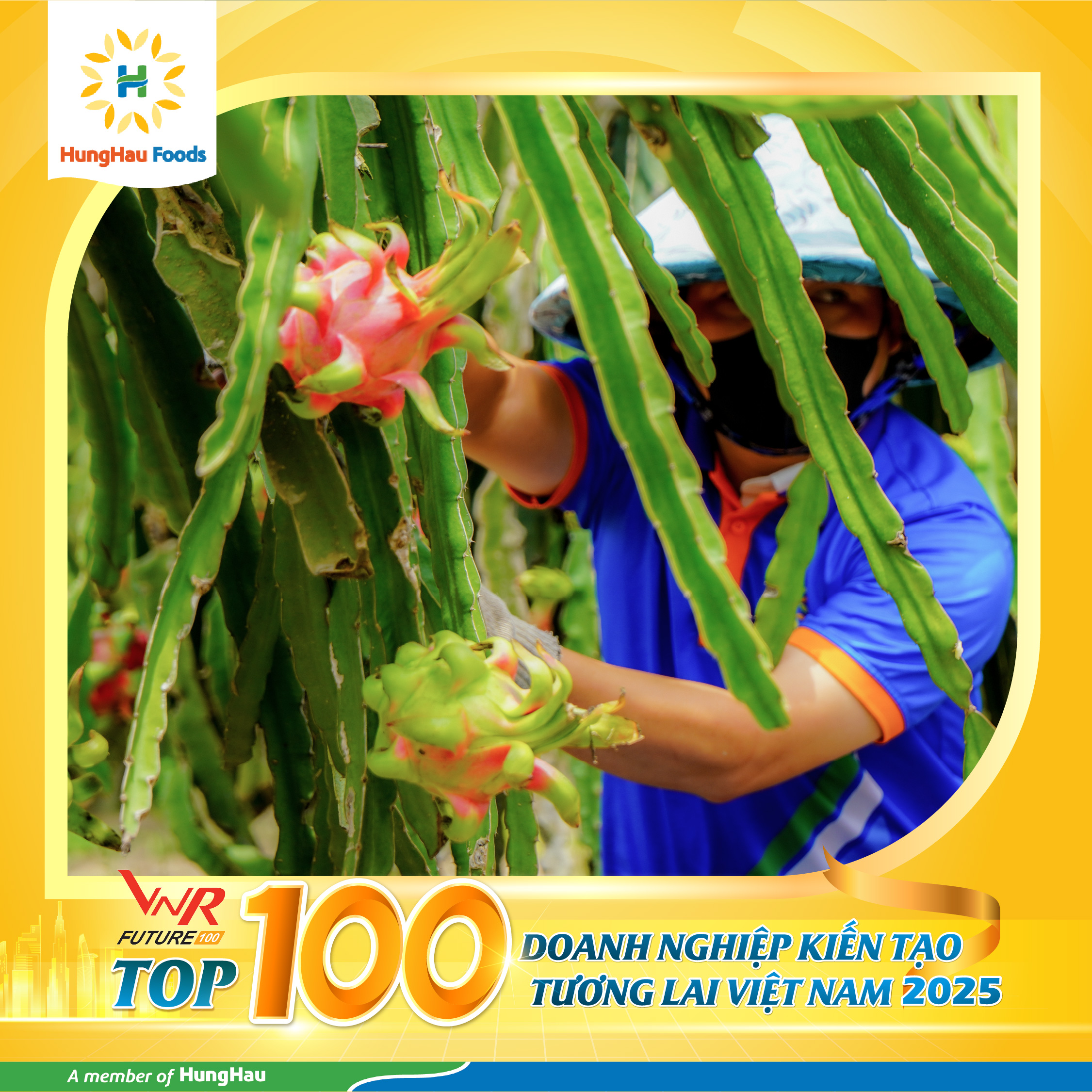 Công nhân thu hoạch nông phẩm