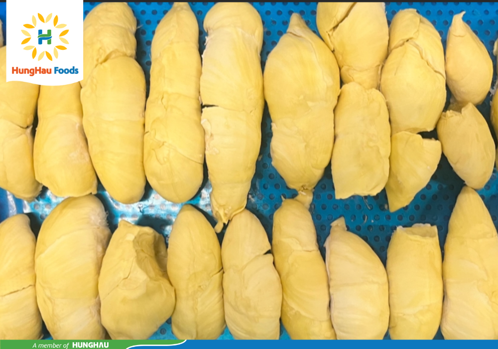 Sầu riêng Monthong loại A múi vàng đẹp, cơm dày, đạt chuẩn xuất khẩu