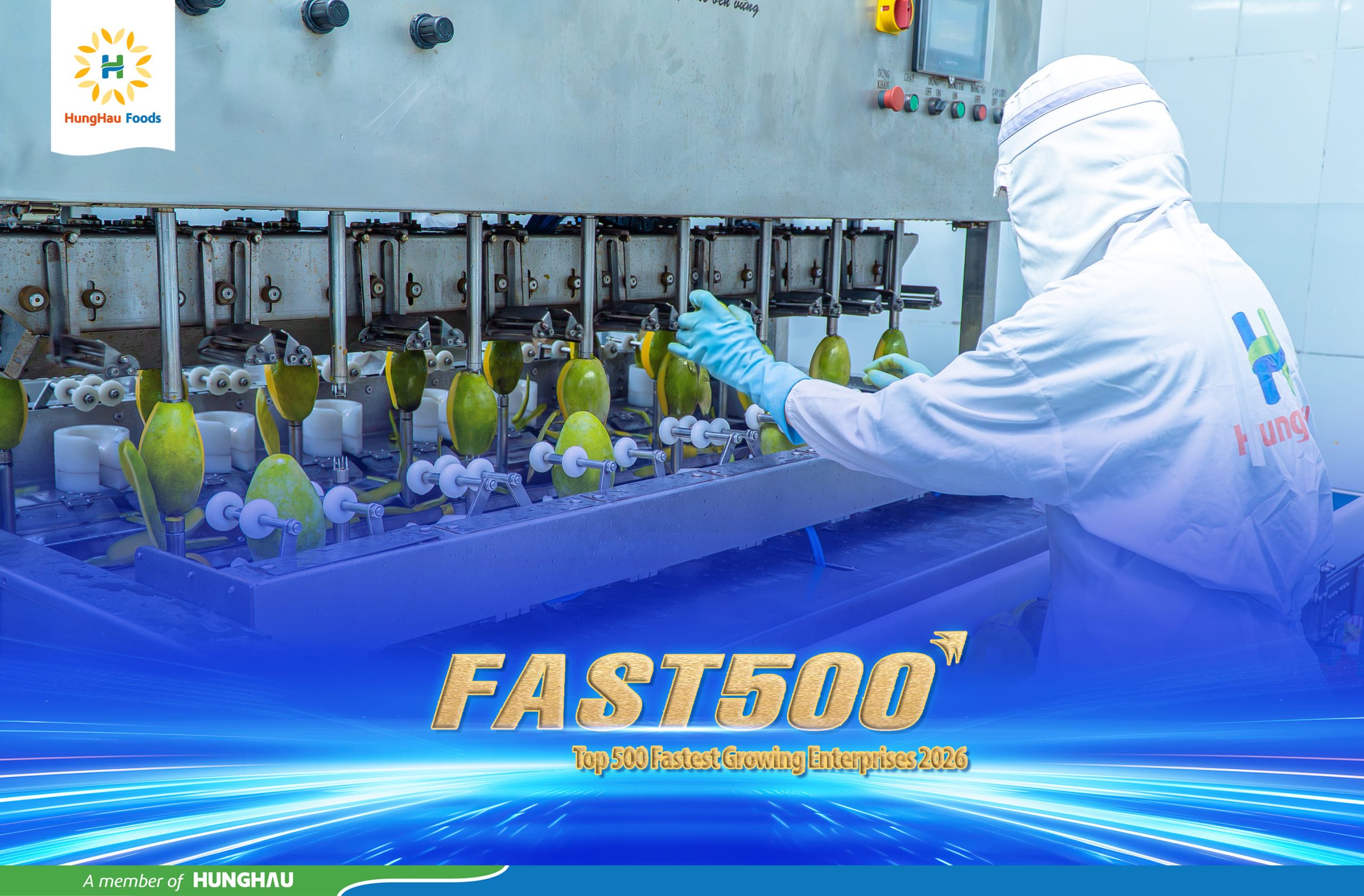 Chế biến xoài đông lạnh xuất khẩu tại nhà máy của HungHau Foods