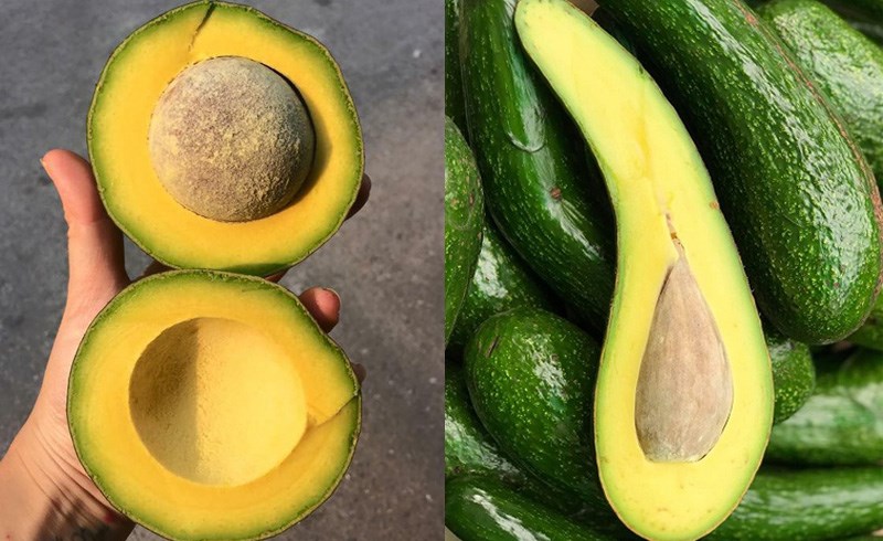 Bơ Booth và Bơ 034 (Nguồn Internet)