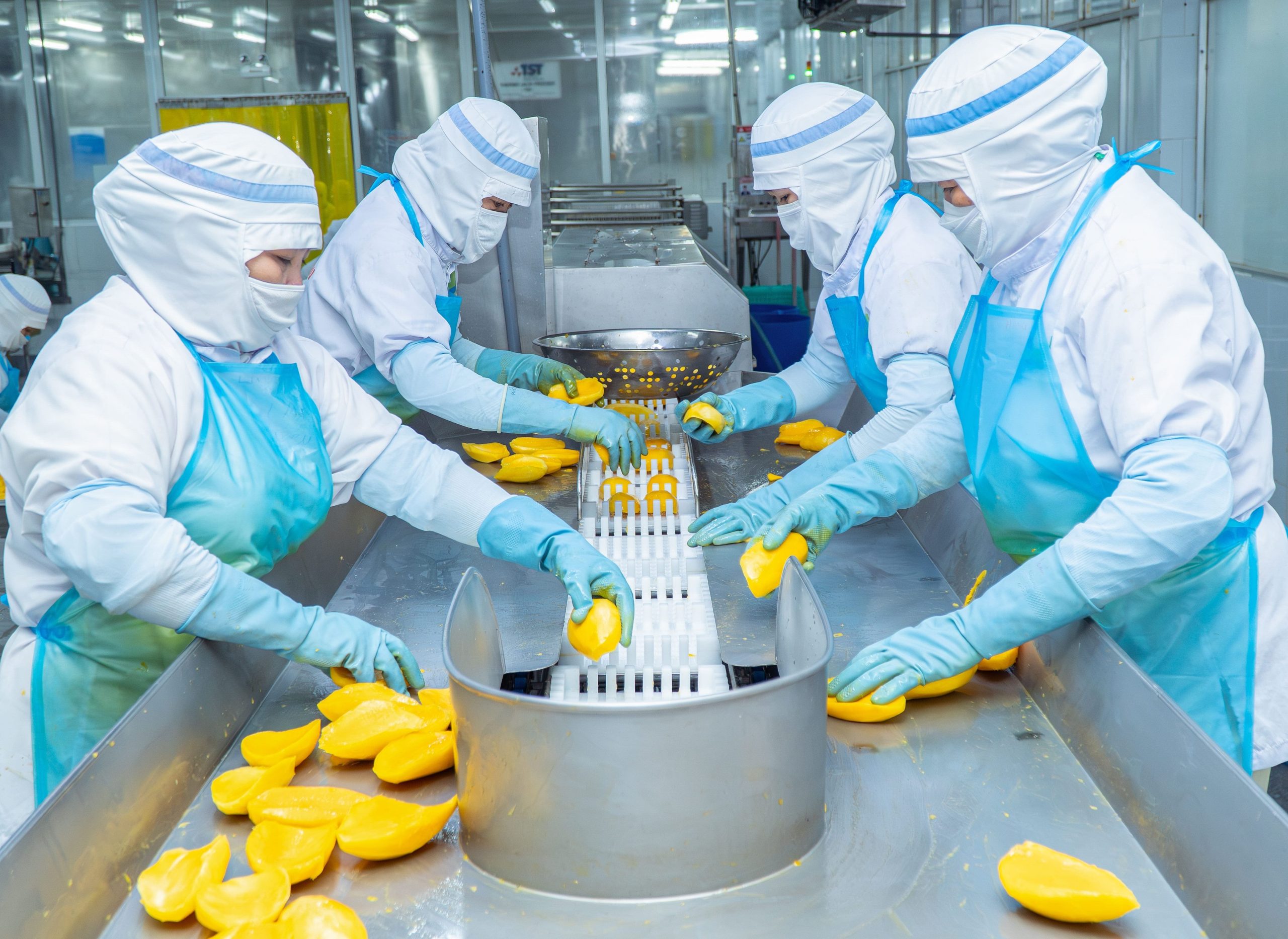 Hoạt động sản xuất tại nhà máy HungHau Foods