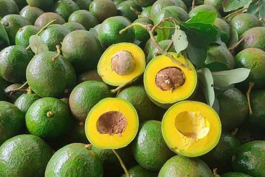 Bơ Booth - Nguồn Internet