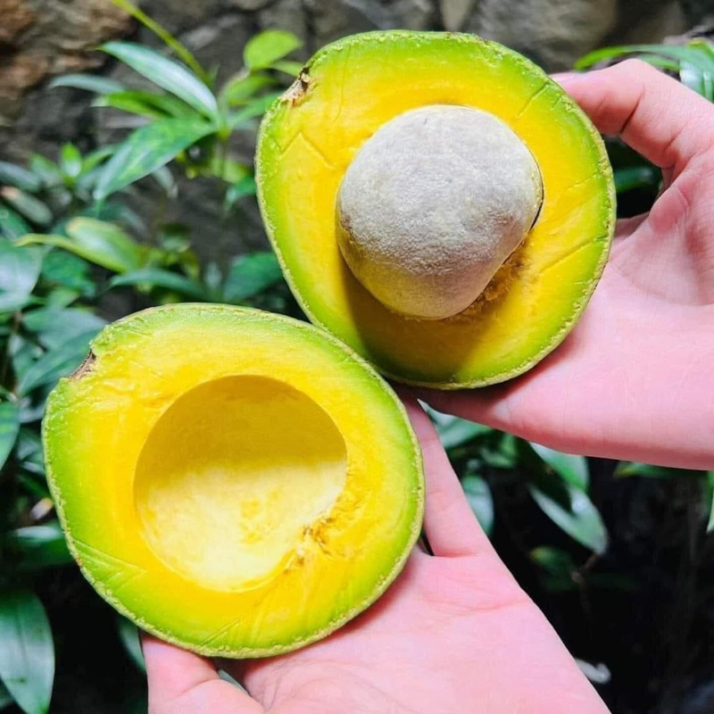 Công ty Cổ phần Thực phẩm Hùng Hậu (HungHau Foods)