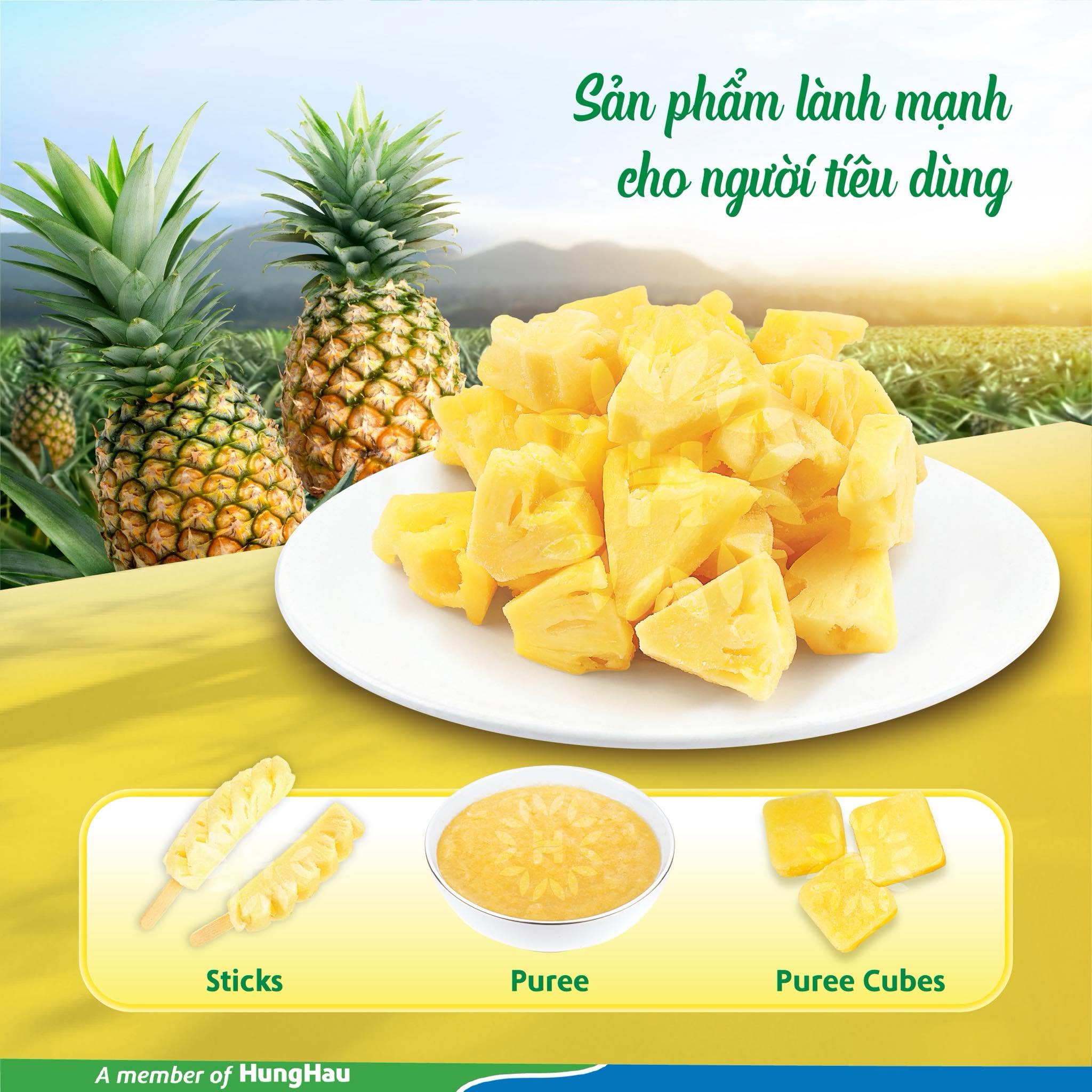 Khóm đông lạnh HungHau Foods