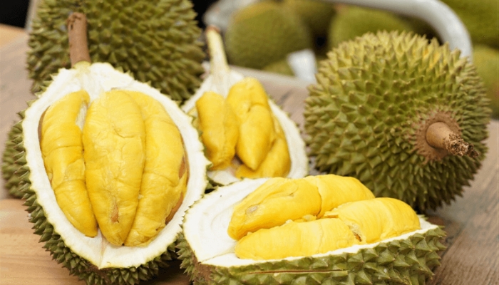 sầu riêng chuồng bò
